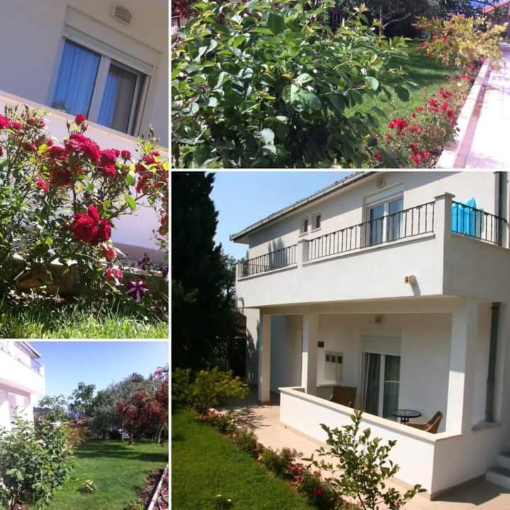 Villa Markic Drvenik  Buitenkant foto